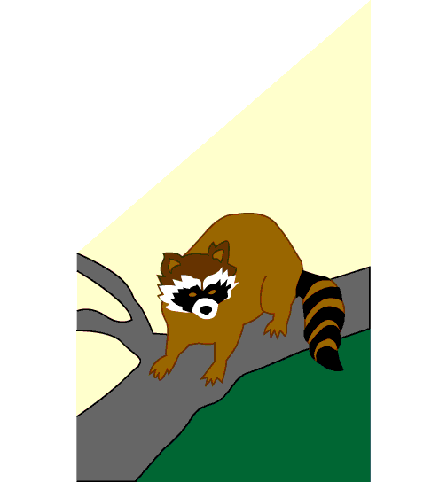 0001_048_Raccoon.gif (9910 bytes)