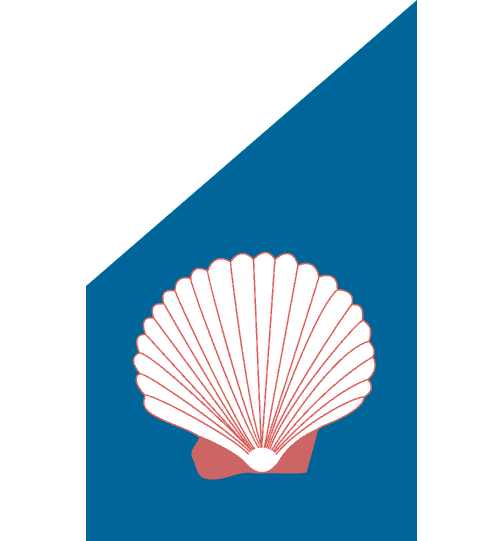 0001_062_Scallop_Shell.gif (10155 bytes)