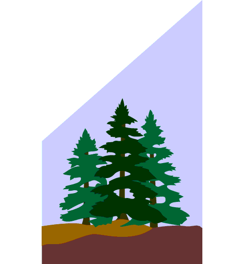 0001_079_Pine_Trees.gif (9110 bytes)