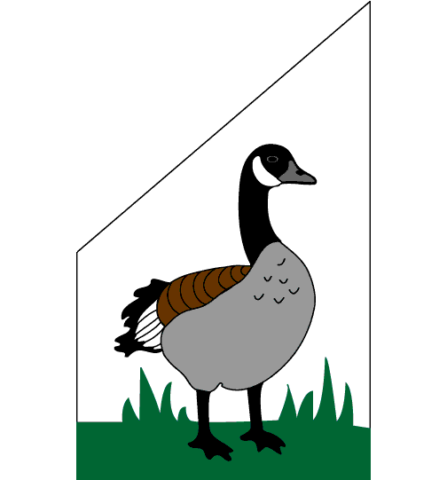 0001_112_Canada_Goose_3.gif (9505 bytes)