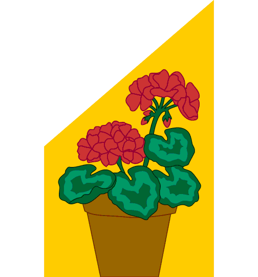 0001_280_Geraniums.gif (13650 bytes)