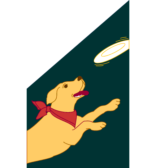 0001_338_Fan_The_Frisbee_Dog.gif (9976 bytes)