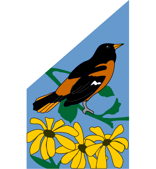 0001_347_Oriole_Black_Eyed_Susans.gif (16498 bytes)