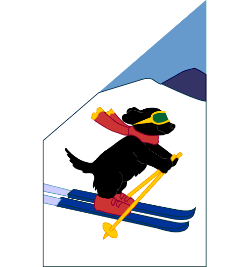 0001_363_Casey_The_Skidog.gif (11601 bytes)