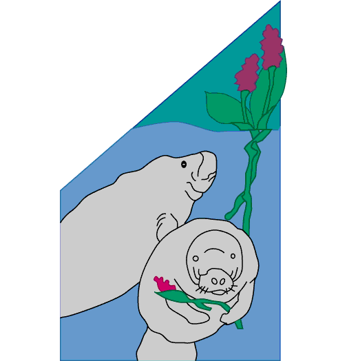 0001_365_Manatees_Flowers.gif (13091 bytes)