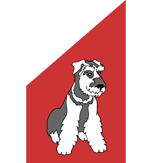 0001_376_Schnauzer_2_Colors.gif (9943 bytes)