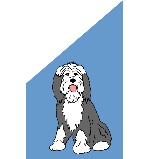 0001_381_Bearded_Collie.gif (10574 bytes)