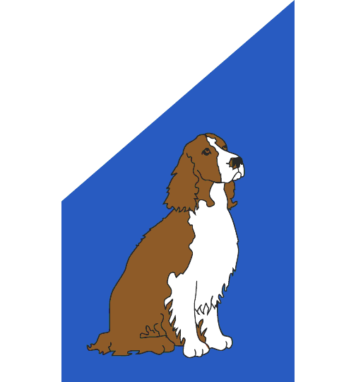 0001_411_springer_spaniel.GIF (9190 bytes)