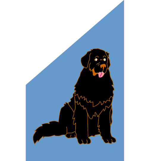 0001_456_Dog_Newfoundland.gif (10112 bytes)