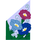 310_Morning_Glories_Color_Combo_No_1.gif (3323 bytes)