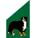 446_Bernese_Mtn_dog.gif (2414 bytes)